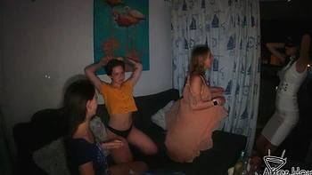 Miss Pussycat and her friends are having a wild party with toys.