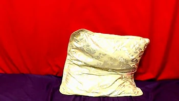 African Ebony Big Ass on Webcam