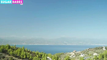 Cutie's pussy licking sex